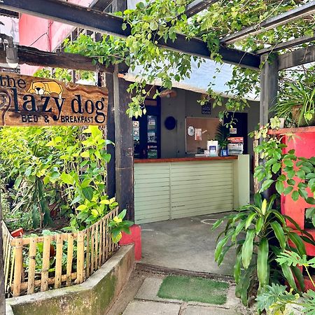 Lazy Dog Bed & Breakfast Balabag  Εξωτερικό φωτογραφία