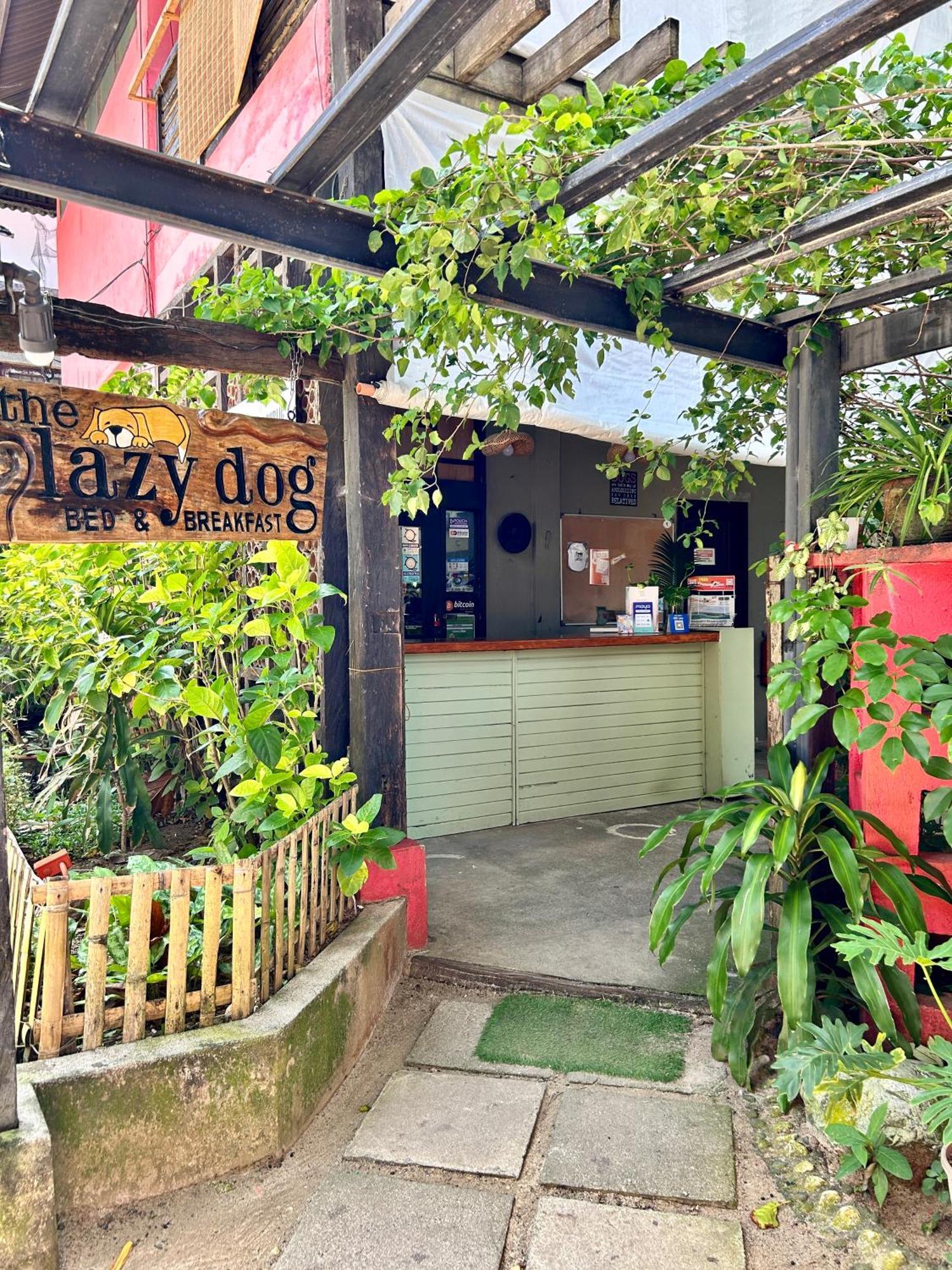 Lazy Dog Bed & Breakfast Balabag  Εξωτερικό φωτογραφία